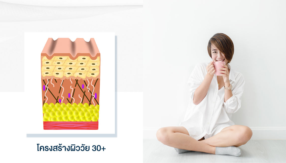โครงสร้างผิววัย 30+