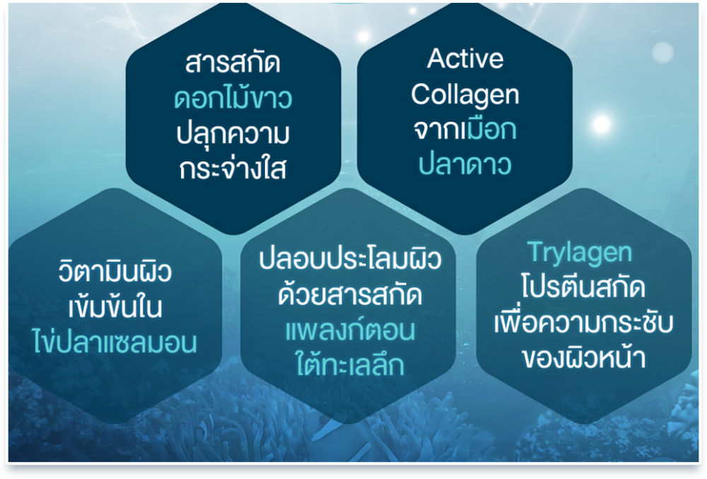 สารสกัดดอกไม้ขาว