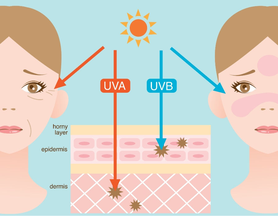 ครีมกันแดด Kelly ป้องกันรังสี UVA และ UVB